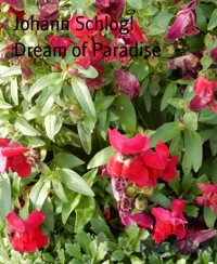 Dream of Paradise - Johann Schlögl - E-Book