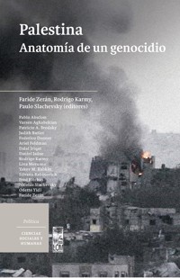 Palestina anatomía de un genocidio - VV.AA - E-Book