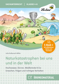 Naturkatastrophen bei uns und in der Welt - Julia Kulbarsch-Wilke - E-Book