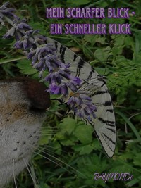 mein _scharfer_BLICK☆ein_schneller-KLICK☆IDEE+GLÜCK - RAYMONDi - E-Book