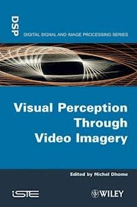 Visual Perception Through Video Imagery -  - E-Book