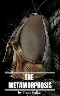 The Metamorphosis - Franz  kafka - E-Book