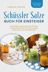 Schüssler Salze Buch für Einsteiger: Die richtige Anwendung der 27 Salze individuell und leicht für mehr Energie, Gesundheit und Wohlbefinden - Schritt für Schritt von der Theorie bis zur Praxis - Karolin Fischer - E-Book + Hörbuch