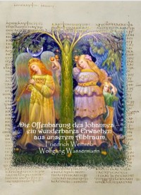 Die Offenbarung des Johannes - ein wunderbares Erwachen aus unserem Albtraum - Wolfgang Wassermann - E-Book