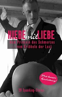 Hiebe mit Liebe - Anna Zech - E-Book