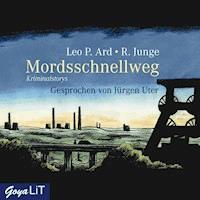 Mordsschnellweg - Reinhard Junge - Hörbuch