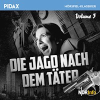 Die Jagd nach dem Täter, Vol. 3 - Irmgard Koester - Hörbuch