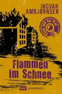 Flammen im Schnee - Ingvar Ambjörnsen - E-Book