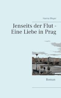Jenseits der Flut - Eine Liebe in Prag - Hanna Meyer - E-Book