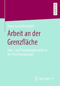 Arbeit an der Grenzfläche - Anna-Lena Berscheid - E-Book