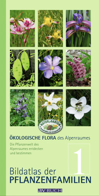 Ökologische Flora des Alpenraumes, Band 1 - Wolfgang Holzner - E-Book