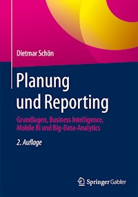 Planung und Reporting - Dietmar Schön - E-Book