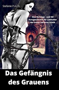 Das Gefängnis des Grauens - P.A.I.N. Stefanie - E-Book