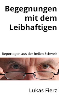Begegnungen mit dem Leibhaftigen - Lukas Fierz - E-Book