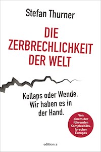 Die Zerbrechlichkeit der Welt - Stefan Thurner - E-Book