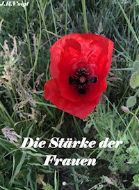 Die Stärke der Frauen - Jörg Voigt - E-Book