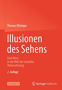 Illusionen des Sehens - Thomas Ditzinger - E-Book