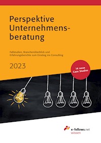 Perspektive Unternehmensberatung 2023 -  - E-Book