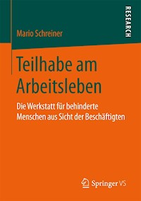 Teilhabe am Arbeitsleben - Mario Schreiner - E-Book