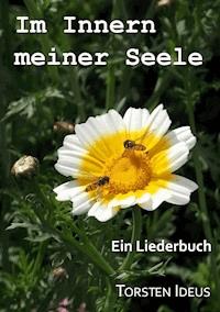 Im Innern meiner Seele - Torsten Ideus - E-Book