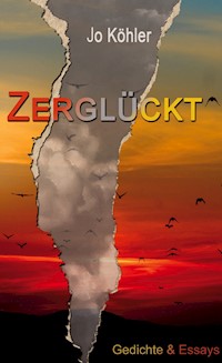 Zerglückt - Jo Köhler - E-Book