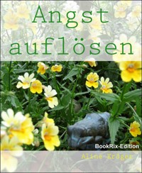 Angst auflösen - Aline Kröger - kostenlos E-Book