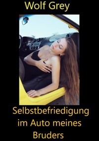 Selbstbefriedigung im Auto meines Bruders - Wolf Grey - E-Book