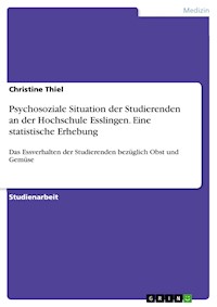 Psychosoziale Situation der Studierenden an der Hochschule Esslingen. Eine statistische Erhebung - Christine  Thiel - E-Book