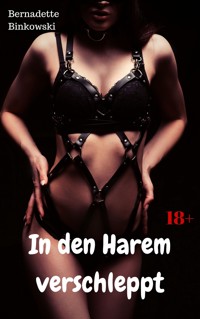 In den Harem verschleppt - Bernadette Binkowski - E-Book