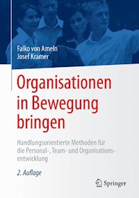 Organisationen in Bewegung bringen - Falko von Ameln - E-Book