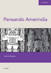 Pensando Amerindia 2º Edicion - Cesar Sondereguer - E-Book