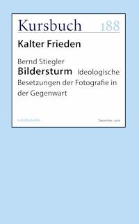 Bildersturm - Bernd Stiegler - E-Book