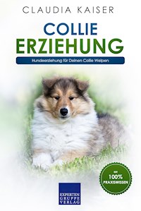 Collie Erziehung - Claudia Kaiser - E-Book