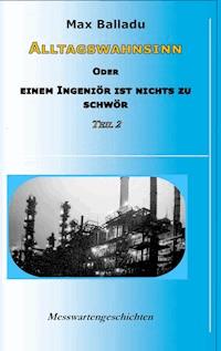 Alltagswahnsinn oder Einem Ingeniör ist nichts zu schwör - Max Balladu - E-Book
