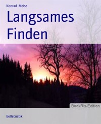 Langsames Finden - Konrad Meise - E-Book