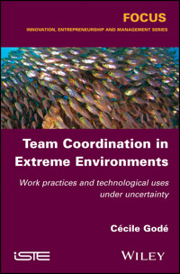 Team Coordination in Extreme Environments - Cécile Godé - E-Book