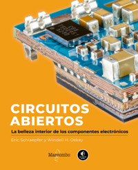 Circuitos abiertos - Eric Schlaepfer - E-Book