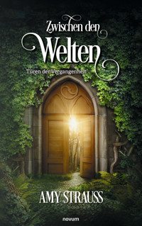 Zwischen den Welten – Türen der Vergangenheit - Amy Strauß - E-Book