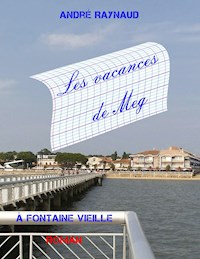 Les vacances de Meg - André Raynaud - E-Book