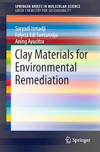 Clay Materials for Environmental Remediation - Suryadi Ismadji - E-Book