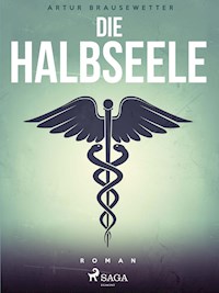 Die Halbseele - Artur Brausewetter - E-Book