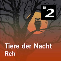 Tiere der Nacht: Reh - Silke Wolfrum - Hörbuch
