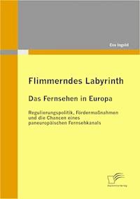 Flimmerndes Labyrinth: Das Fernsehen in Europa – Regulierungspolitik, Fördermaßnahmen und die Chancen eines paneuropäischen Fernsehkanals - Eva Ingold - E-Book