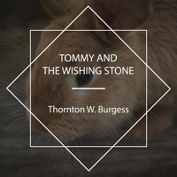 Tommy and the Wishing Stone - Thornton W. Burgess - Hörbuch