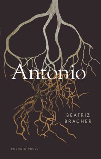 Antonio - Beatriz Bracher - E-Book