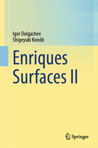 Enriques Surfaces II - Igor Dolgachev - E-Book