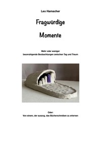 Fragwürdige Momente - Leo Hamacher - E-Book