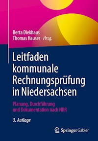Leitfaden kommunale Rechnungsprüfung in Niedersachsen - Berta Diekhaus - E-Book