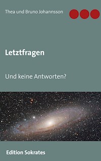 Letztfragen - Thea und Bruno Johannsson - E-Book