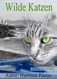 Wilde Katzen - Hartmut Päsler - E-Book